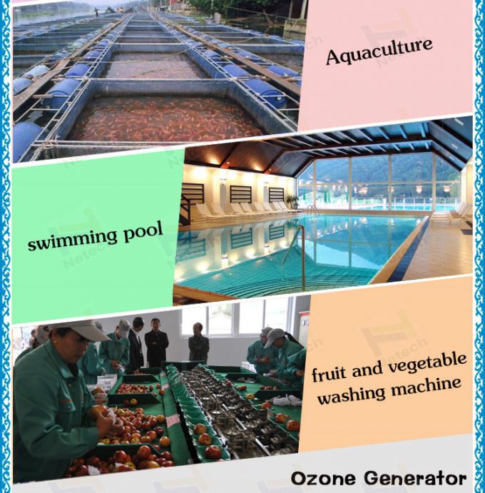 40g - большая система водообеспечения озона генератора озона 100g для водохозяйства